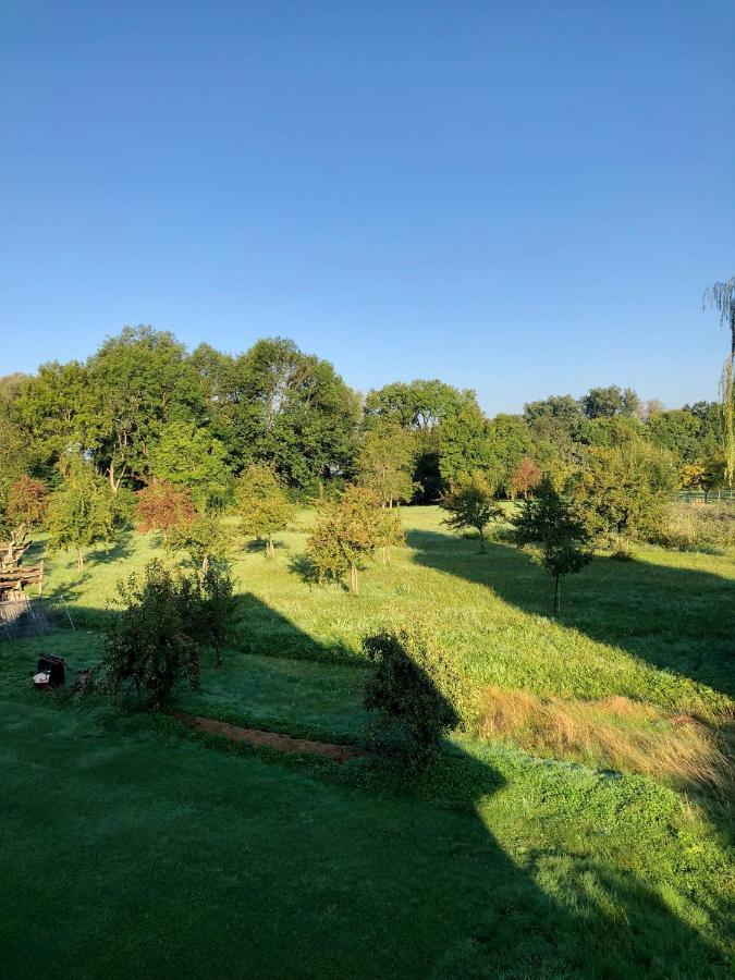 Ferien-Apartment Silberweide Mit Privatstrand Friedrichshafen Ngoại thất bức ảnh
